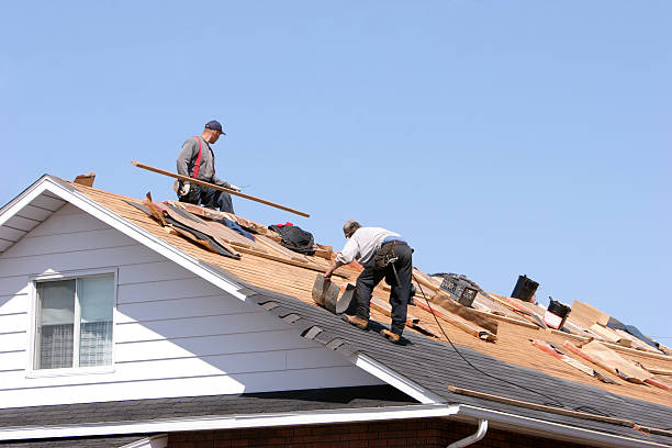 Best Asphalt Shingle Roofing  in Edinboro, PA